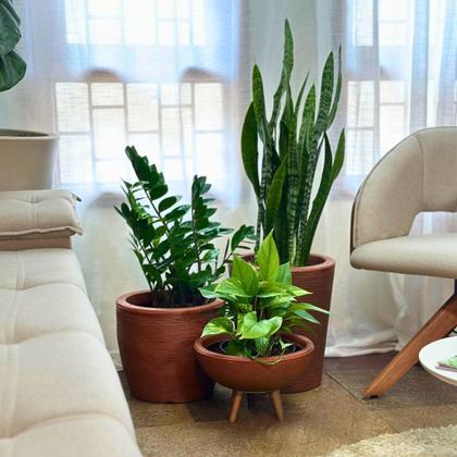 Imagem de 3 Vaso Planta Para Sala Pequena Apartamento Decoração Kit