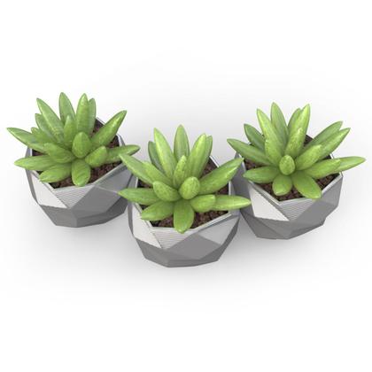 Imagem de 3 Vasos Cachepot Suculenta Ervas Flor Decora Mesh Mini PP58
