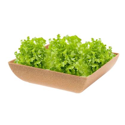 Imagem de 3un Saladeira Quadrada 1,4 Lt Travessa Petisqueira Marrom Cl