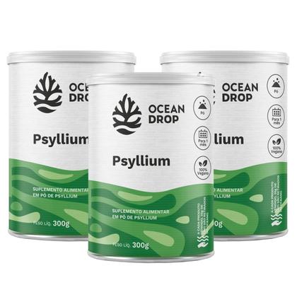 Imagem de 3x Psyllium Em Pó Aminoácidos Veganos Ocean Drop 300g