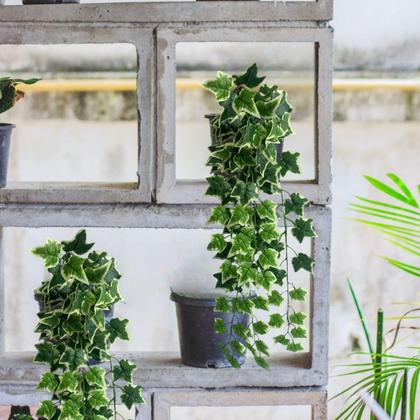 Imagem de 4 Plantas Pendentes Artificiais Permanentes: A Escolha Perfeita para Varandas Internas - DE0422