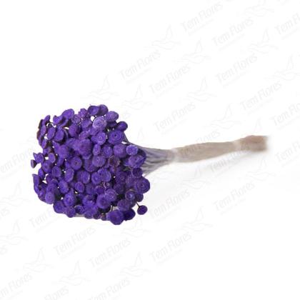 Imagem de 400 Botão Desidratado