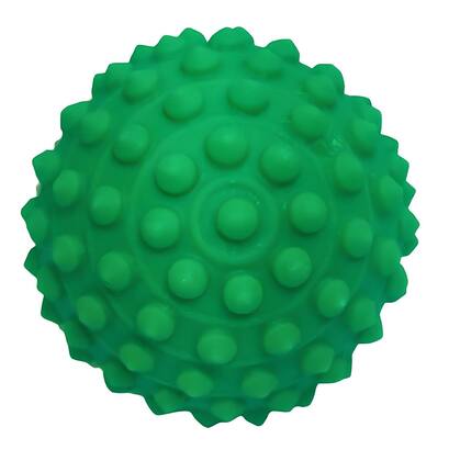 Imagem de 48x Bolinha Cravo para Fisioterapia Massagem Anti Stress Petshop