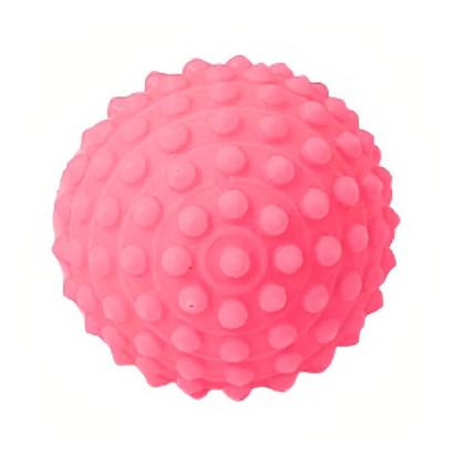 Imagem de 48x Bolinha Cravo para Fisioterapia Massagem Anti Stress Petshop