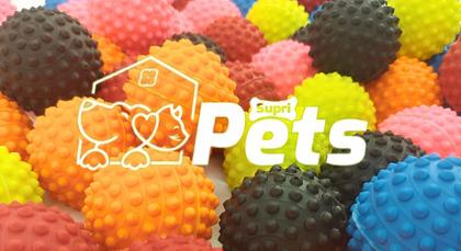 Imagem de 48x Bolinha Cravo para Fisioterapia Massagem Anti Stress Petshop