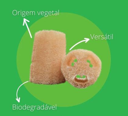 Imagem de 5 Esponjas Bucha Vegetal Natural Limpeza Profunda Esfoliaçao - sitio santo antonio