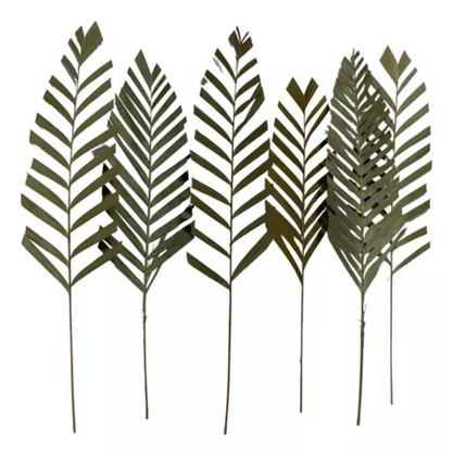 Imagem de 5 Folha De Areca Seca Desidratada Decoração Arranjo Buque