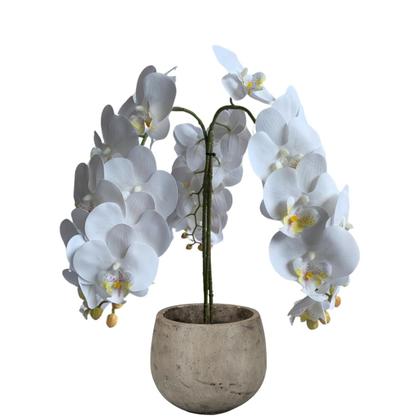 Imagem de 5 Hastes de Orquídea phalaenopsis Branca Artificial 100X15 Perfeita para Sala, Hall e Ambientes Internos DE1324