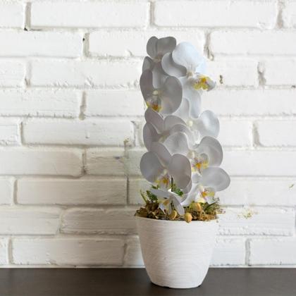 Imagem de 5 Hastes de Orquídea phalaenopsis Branca Artificial 100X15 Perfeita para Sala, Hall e Ambientes Internos DE1324