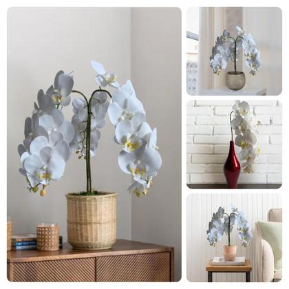 Imagem de 5 Hastes de Orquídea phalaenopsis Branca Artificial 100X15 Perfeita para Sala, Hall e Ambientes Internos DE1324