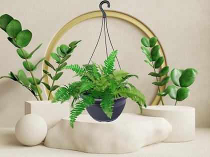 Imagem de 5 Vasos De Pendurar Com Haste Plantas E Flores Jardinagem