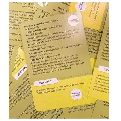 Imagem de 50 Bichos De Estimação - Cartas: Diversão animal e aprendizado garantido!