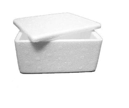 Imagem de 50 Caixas Térmicas Doces Medicamento Sorvetes Isopor De 1Kg