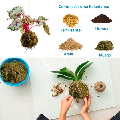 Imagem de 500g Musgo Verde Desidratadas Decoração Arranjos Flores