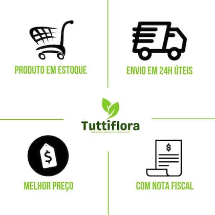 Imagem de 5x Óleo de Abacate e Vitamina E em Gotas 30ml Nataly
