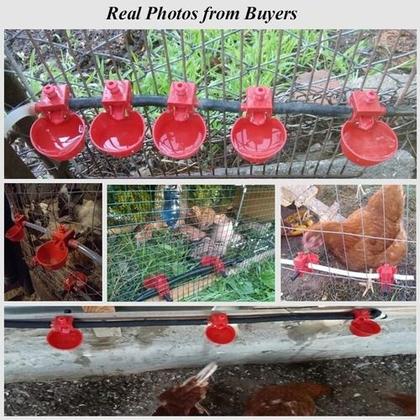Imagem de 6 Bebedouro Automático Para Aves Frangos Codornas