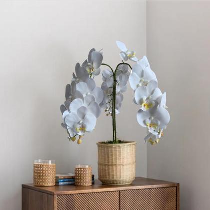 Imagem de 6 Hastes de Orquídea phalaenopsis Branca Artificial 80cm - Flores Decorativas para Mesa de Jantar - DE1324