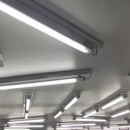 Imagem de 6 Lâmpadas Tubular Philips Fluorescente T8 4100k 16w Bivolt