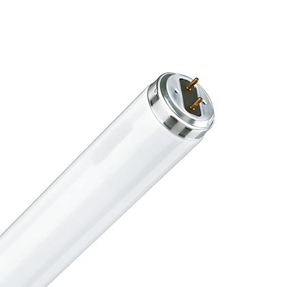 Imagem de 6 Lâmpadas Tubular Philips Fluorescente T8 4100k 16w Bivolt