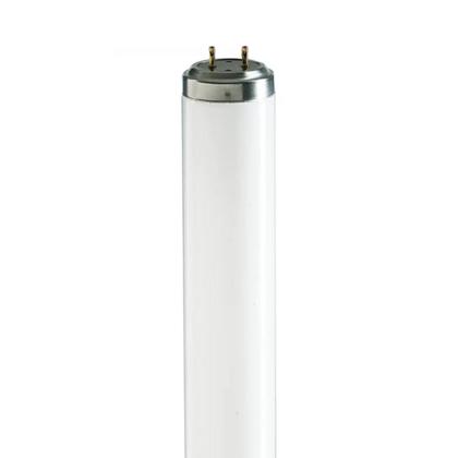 Imagem de 6 Lâmpadas Tubular Philips Fluorescente T8 4100k 16w Bivolt