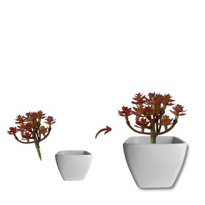Imagem de 6 Mini Vaso Suculenta Decorativo Cachepot p/ Plantas-Flores