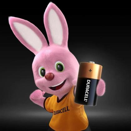 Imagem de 6 Pilhas Média Duracell C Alcalina