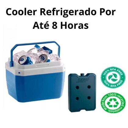 Imagem de 6 Placa Gelox Gelo Artificial Reutilizavel Bolsa Térmica Cooler 500ml