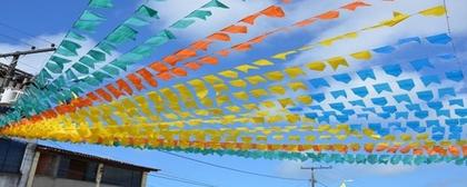 Imagem de 6 Rolos Fitilho Pp Colorido - 0,05Mm Rolo Com 0,700 Kg (6Rl)