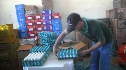 Imagem de 6 Rolos Fitilho Pp Colorido - 0,05Mm Rolo Com 0,700 Kg (6Rl)