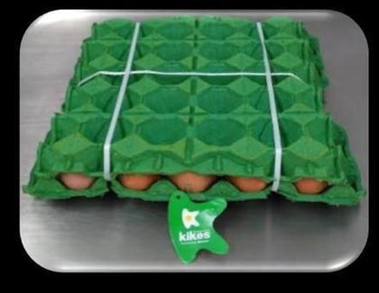 Imagem de 6 Rolos Fitilho Pp Colorido - 0,05Mm Rolo Com 0,700 Kg (6Rl)