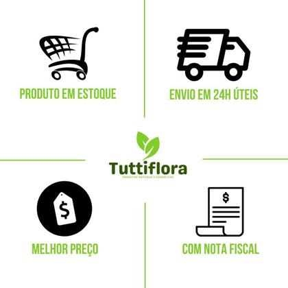 Imagem de 6x Biotina (B7) Cabelos e pele 150% IDR 60 Caps Flora Nativa