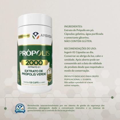 Imagem de 6x Própolis Verde 500 Mg - 120 Caps. - Apisvida