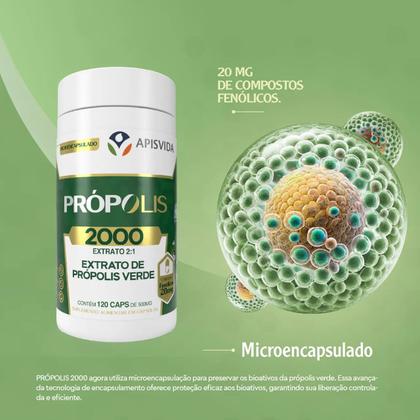 Imagem de 6x Própolis Verde 500 Mg - 120 Caps. - Apisvida