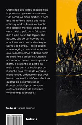 Imagem de A Ridícula Ideia de Nunca Mais Te Ver