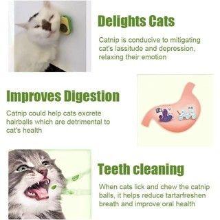 Imagem de Abacate De Brinquedo Para Gatos Com Catnip Erva Gato Natural