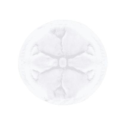 Imagem de Absorvente para Seios Lolly Kinddy 30 Unidades