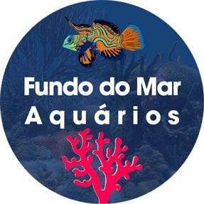 Imagem de Acidificante Seachem Acid Buffer 300g Reduz o pH em Aquários