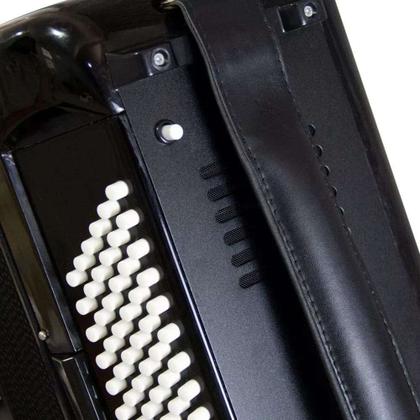 Acordeon 41 teclas e 120 baixos preto com bag yw827 todeschini