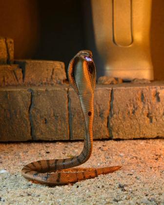 Imagem de Action Figure Michelangelo Múmia Tartarugas Ninja Com Acessórios