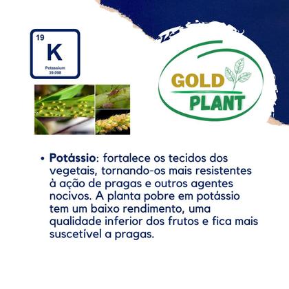 Imagem de Adubo Fertilizante Mineral  Misto granulado Pote NPK 101010 Gold Plant 