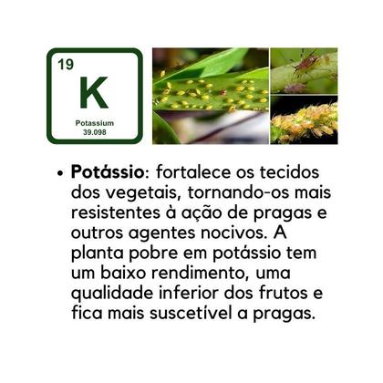 Imagem de Adubo Fertilizante Npk 041408 5 Kg fracionado