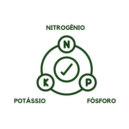 Imagem de Adubo Fertilizante Npk 10-10-10 - 1kg (fracionado)