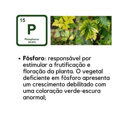 Imagem de Adubo Fertilizante Npk 10-10-10 - 1kg (fracionado)