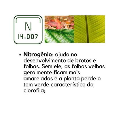 Imagem de Adubo Fertilizante Npk 101010 saquinho 1kg Gold Plant