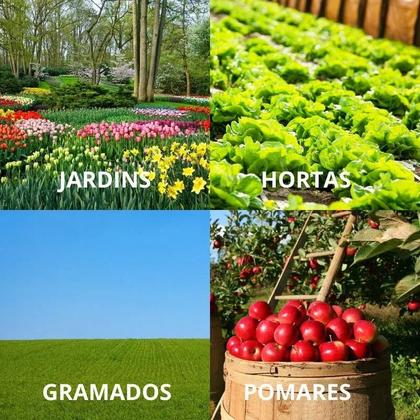 Imagem de Adubo NPK 10-10-10 Dimy 500g Fertilizante Completo Crescimento Forte Plantas e Flores