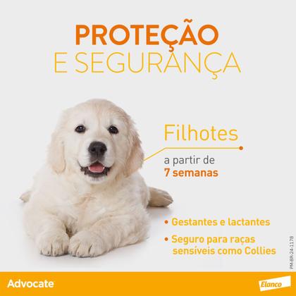 Imagem de Advocate Elanco Antipulgas para Cachorro Até 4kg 1 Pipeta