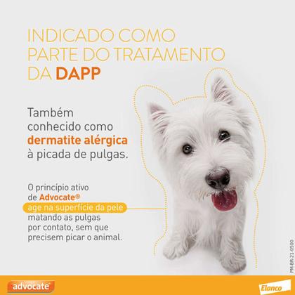 Imagem de Advocate Elanco Antipulgas para Cachorro Até 4kg Kit com 3