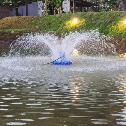 Imagem de Aerador Oxigenador Chafariz Piscicultura Tanques de Peixes 0,5cv 500m²