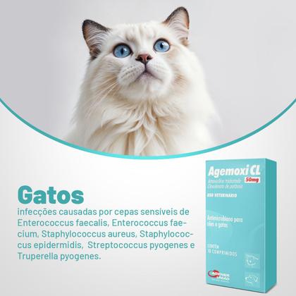 Imagem de Agemoxi CL 50mg Caixa com 10 Comprimidos Para Cães e Gatos