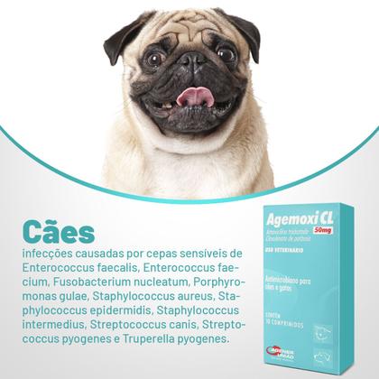 Imagem de Agemoxi CL 50mg Caixa com 10 Comprimidos Para Cães e Gatos